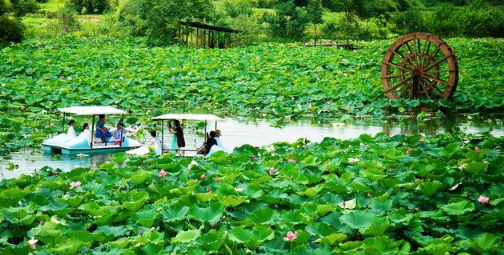 2024年夏天从什么时候开始算