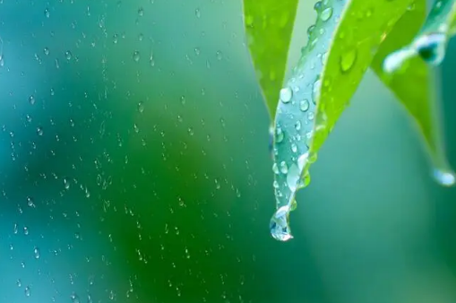 2023年上半年雨水多还是下半年雨水多1