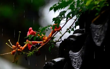 2023年上海梅雨季节有多少天1