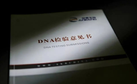 dna鉴定试剂盒多少钱1