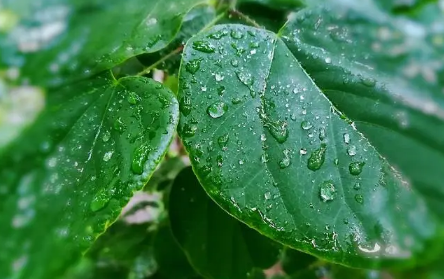 今年闰二月雨水多吗20231