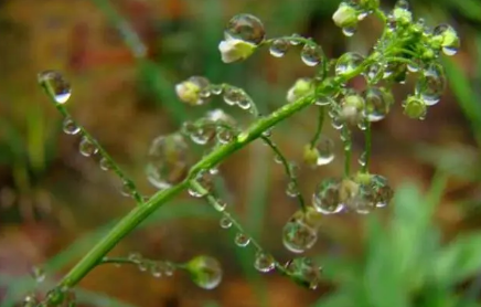 2023苏州梅雨季节是哪几个月1