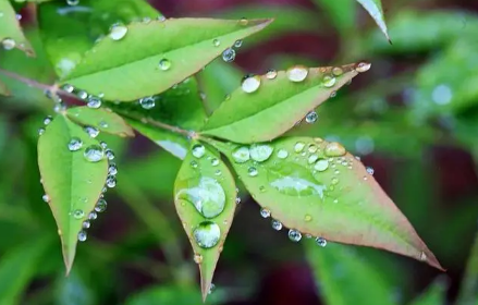 湖南下雨为什么要下到五月20231