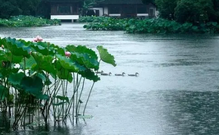 2023年浙江几月份是梅雨季节1