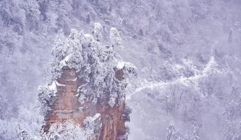 张家界天门山每年都下雪吗20253