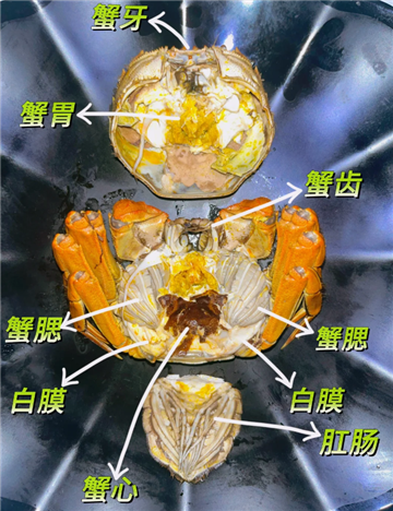 螃蟹黄里面有黑色的像血块是什么原因3