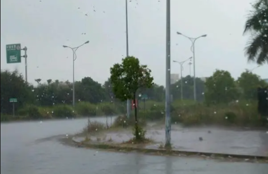  深圳12月会下雨吗1