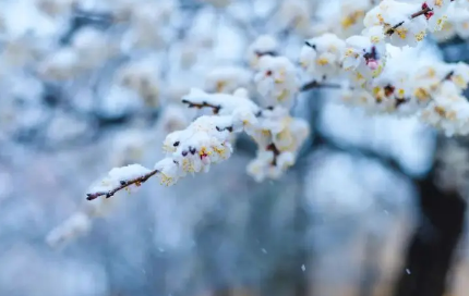 2022年11月份节气到小雪是什么天气