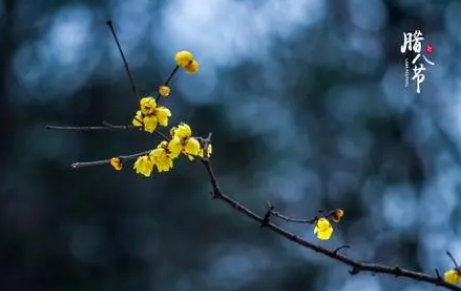 腊八节烧纸好不好1