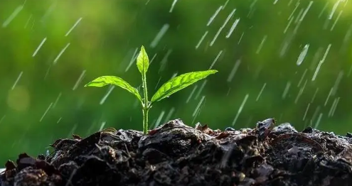 2023年7月8月雨水大吗2