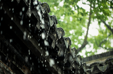 2023年上半年雨水多还是下半年雨水多2