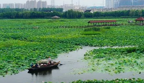 2023年苏州夏天一般多少度3