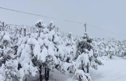 2023年四月份下雪正常吗2