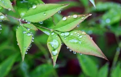 2023年五一上海会下雨吗2