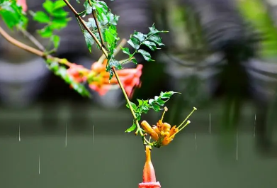 2023年浙江几月份是梅雨季节2