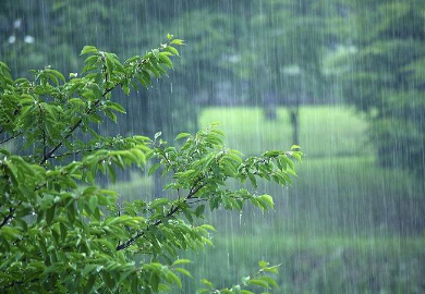 2023年浙江几月份是梅雨季节3