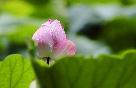 2023年梅雨季节是夏季吗2