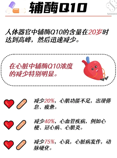 辅酶Q10成分是什么2