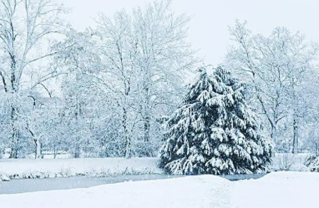 2023年1月上海会下雪吗2