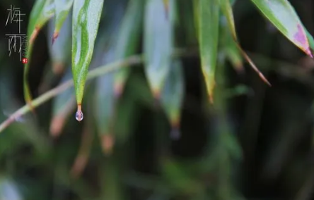 舟山梅雨季节是什么时间2022