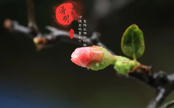 2022清明节立碑哪天最合适