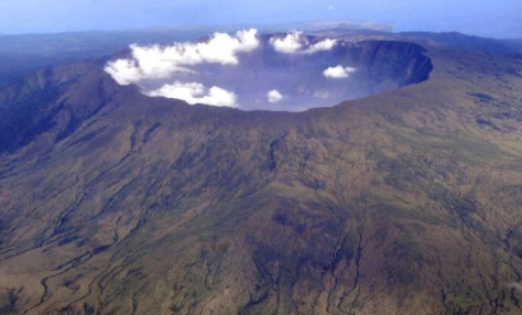 网传汤加火山爆发致扇贝涌入獐子岛真的假的