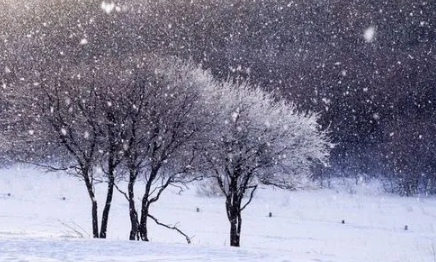 2022北方立冬下雪好不好2