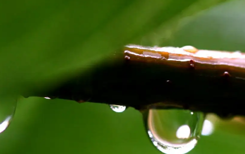 今天下雨是人工降雨吗2