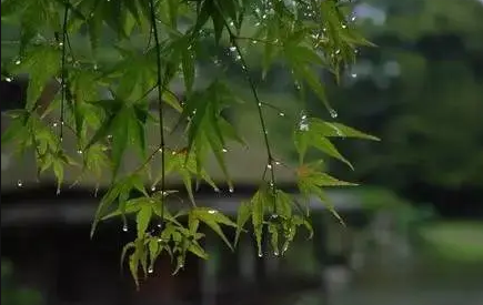 2022苏州梅雨季节什么时候开始