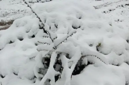 大暴雪天气能不能上高速1