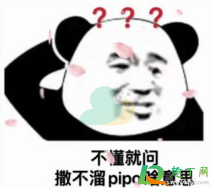 撒不溜pipo什么梗1