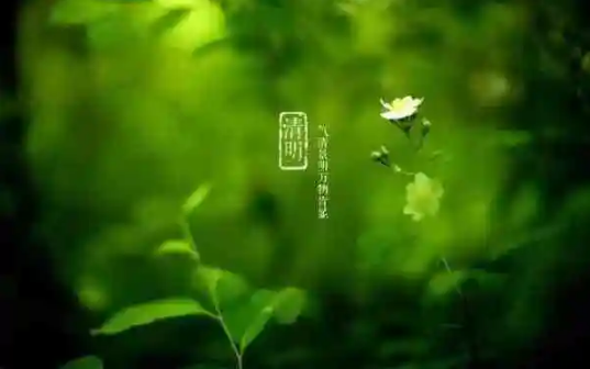 清明节上坟选日子是选阴历还是选阳历好2