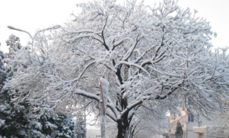 今日几点大雪节气2022