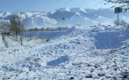 大雪节气晴天好不好1