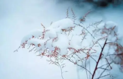 大雪节气会下雪吗1