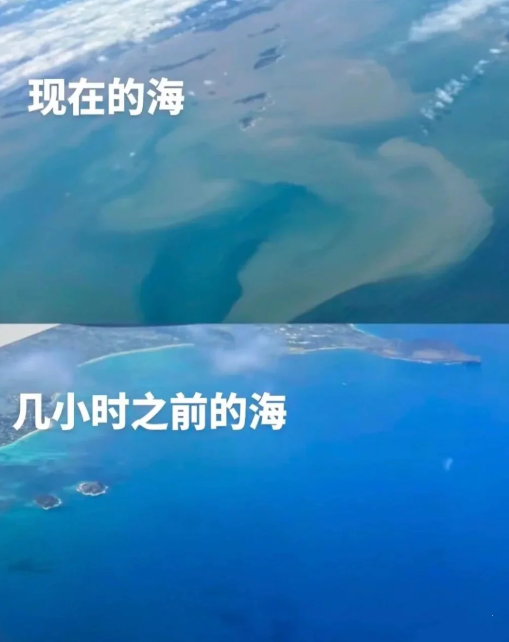 核污水为什么处理不了2