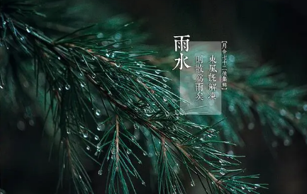 2022年雨水前一天是绝日吗3