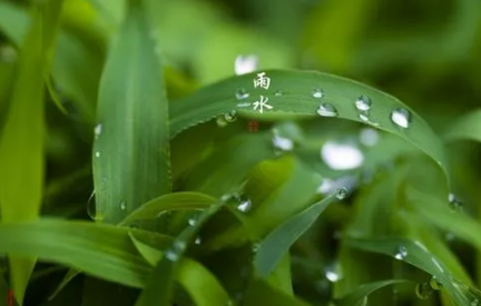 2022年雨水前一天是绝日吗2