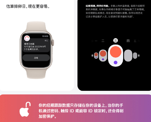 苹果手表可精准预测女性排卵期是哪个型号3