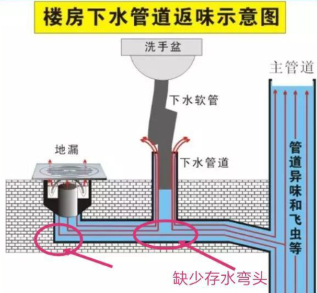 卫生间除臭用什么最好3