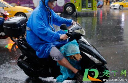 雨衣洗后不防水了怎么办4