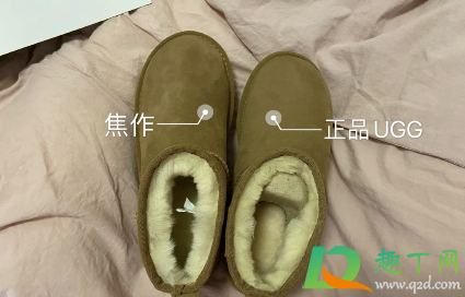 桑坡ugg是正品吗3