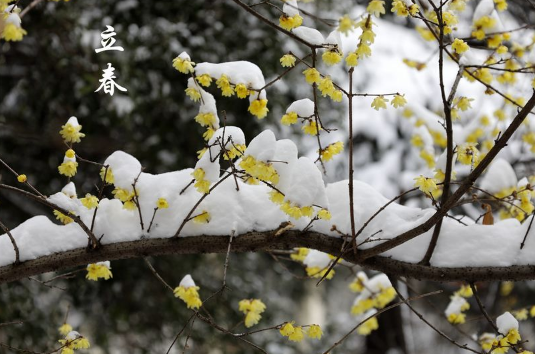 躲春白天可以见阳光吗3