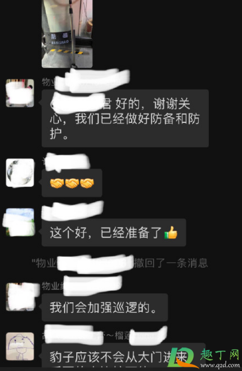 假如你遇到了从动物园出逃的豹子怎么办3