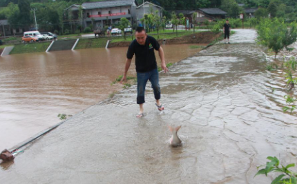 暴雨过后鱼塘要消毒吗