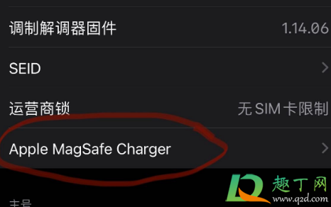 magsafe充电器序列号在哪里能看到2