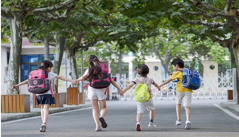 小学报名只能报一所吗20211