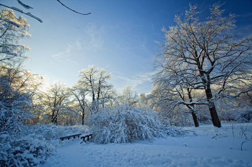 今年会出现2008年的雪天吗2021-20222