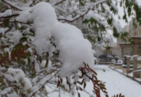 大暴雪天气能不能上高速2