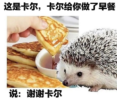 小刺猬卡尔是什么梗2